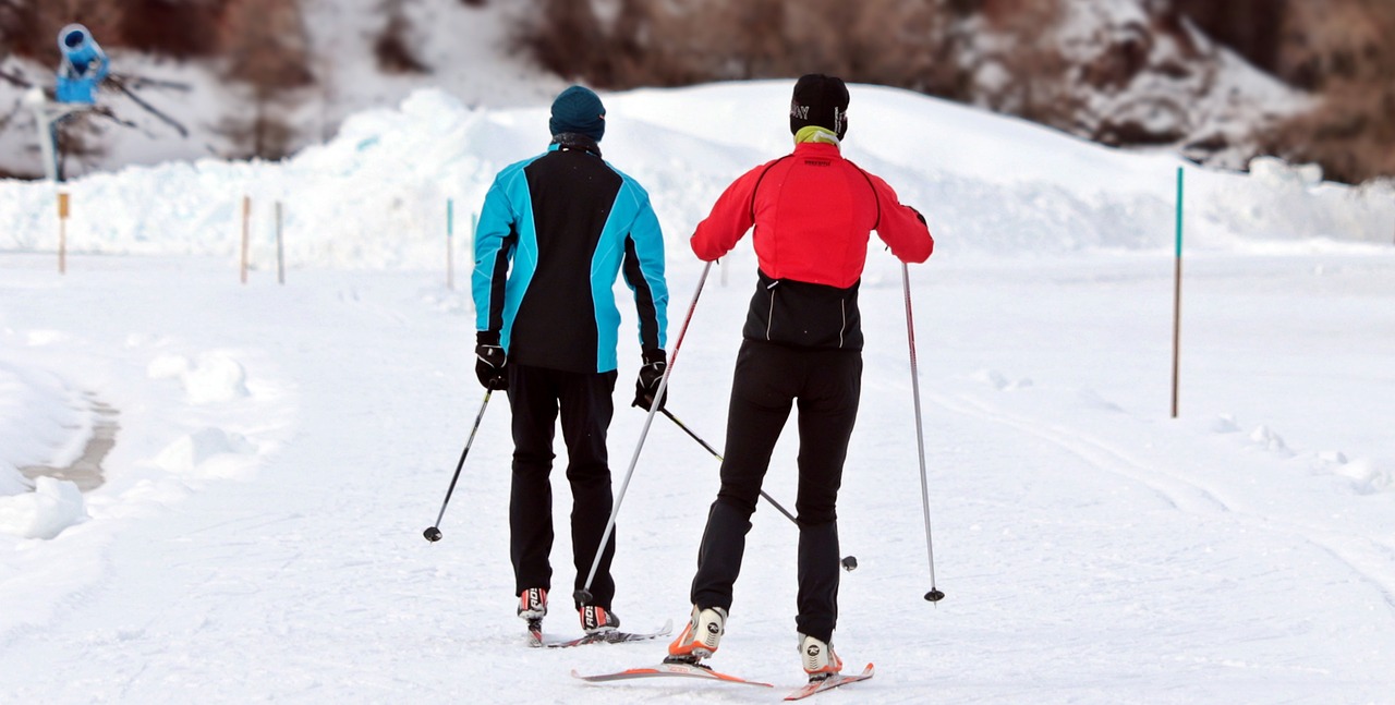 Two skiers doing cross-country skiing.