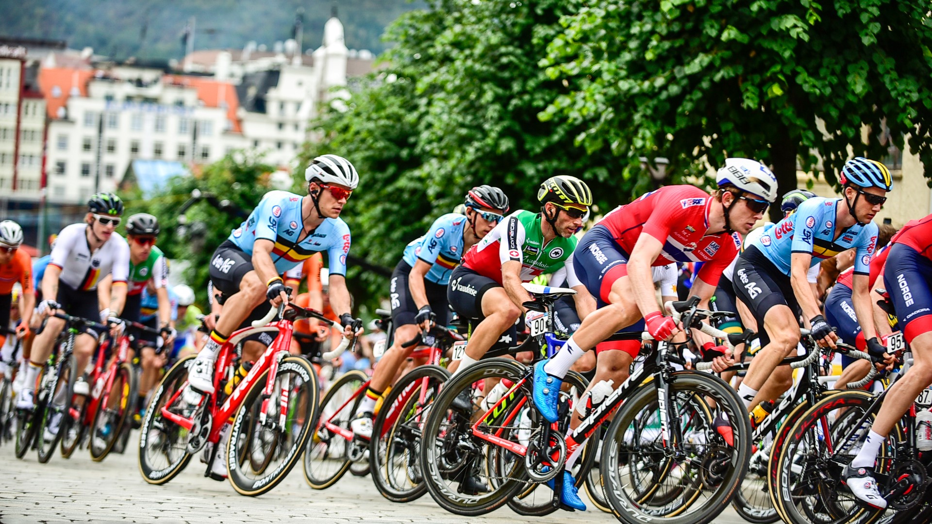 Several cyclist during a race in a peloton.