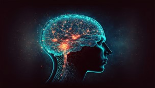 Illustration of a human head with the brain visable.