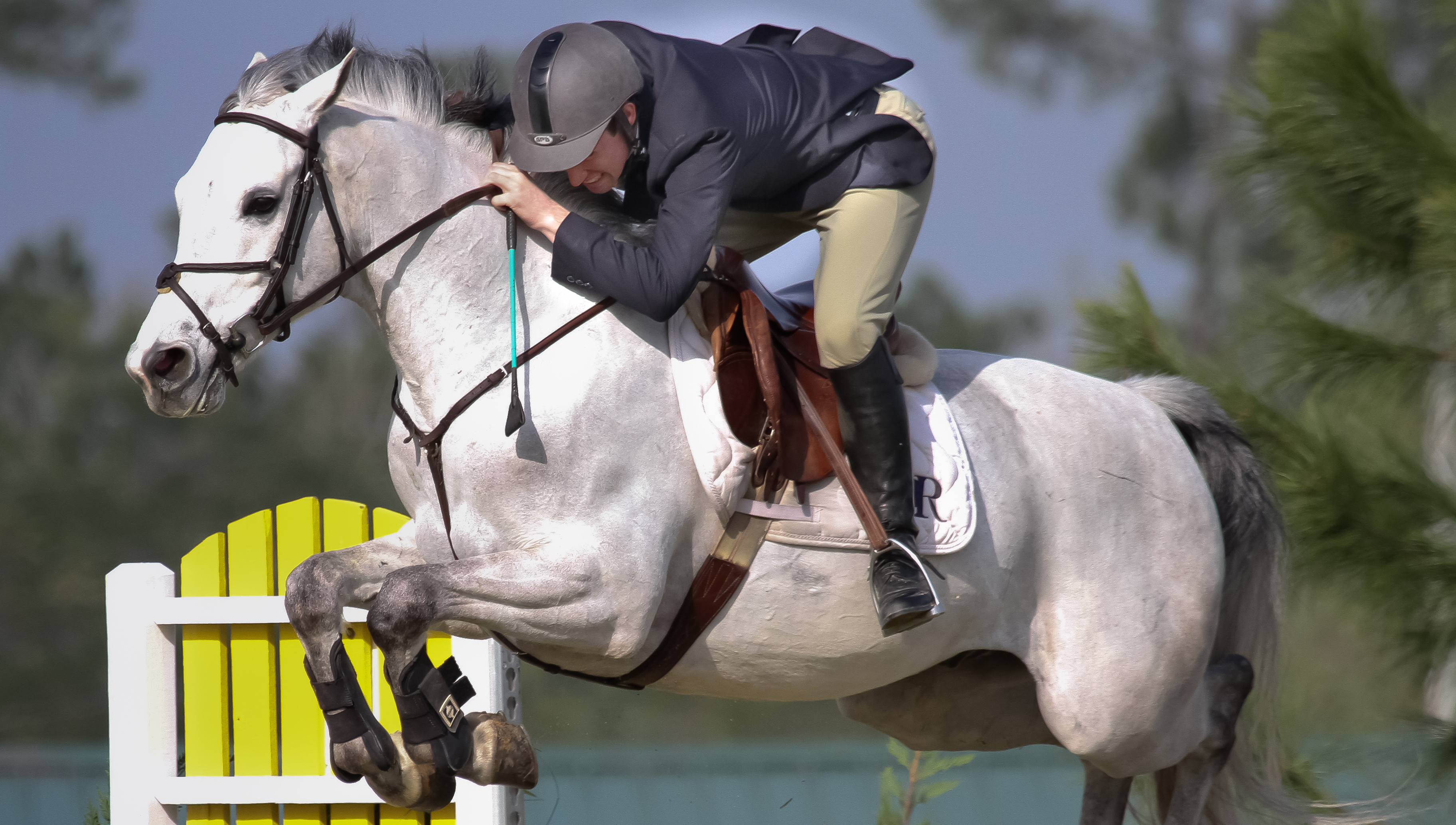 Equestrian jumping