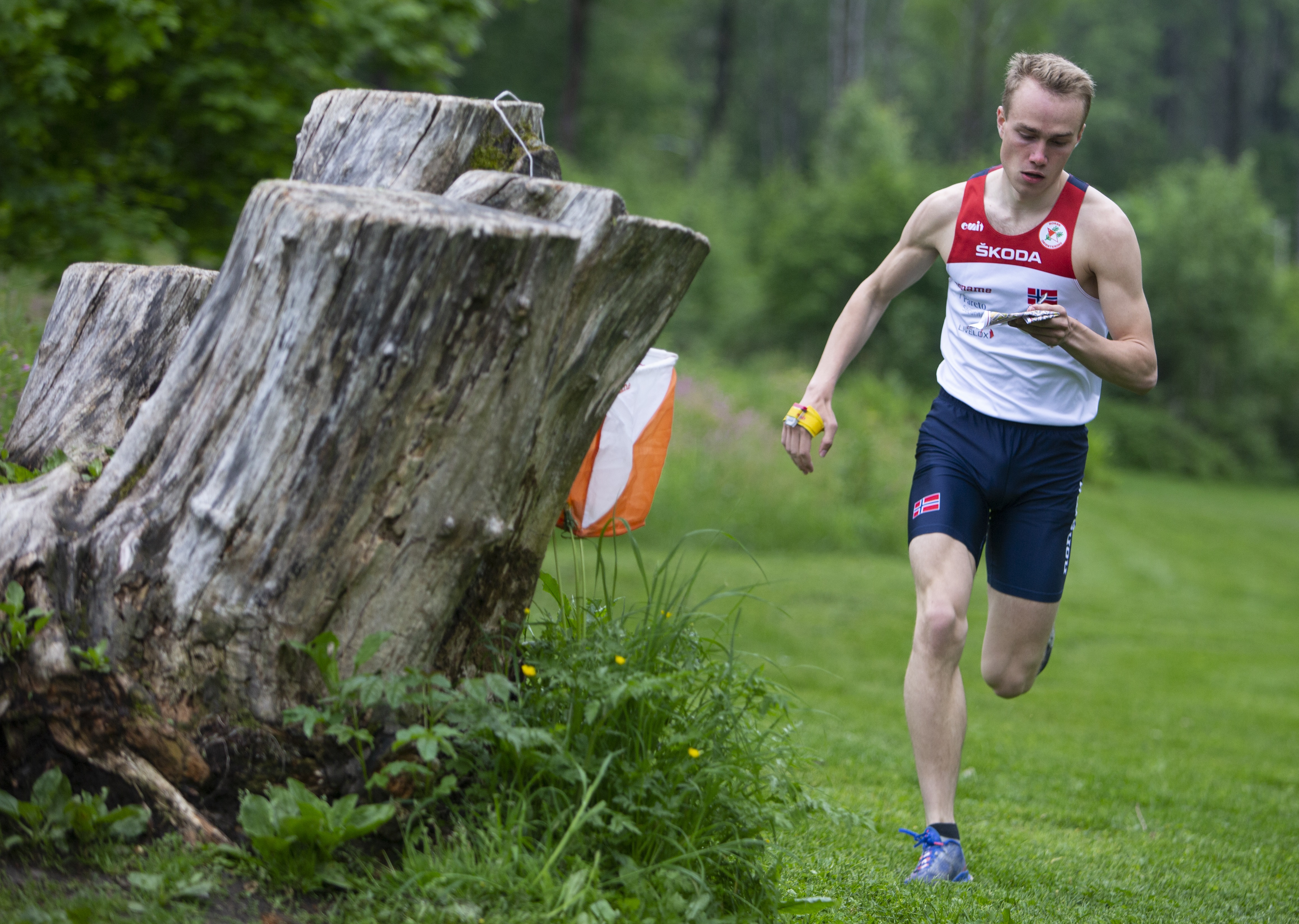 Athlete running in a competition, looking down on his map which he is holding in his left hand.