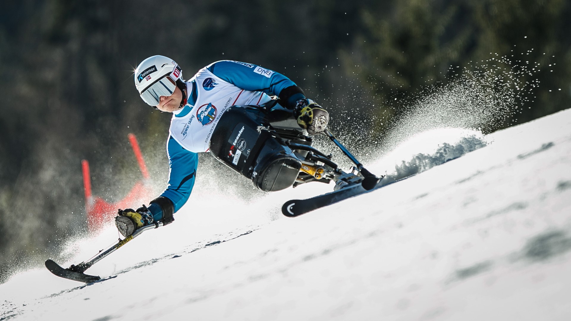 Para-athlete on a sit-ski going down the slop, with mini-support skies on both hands.